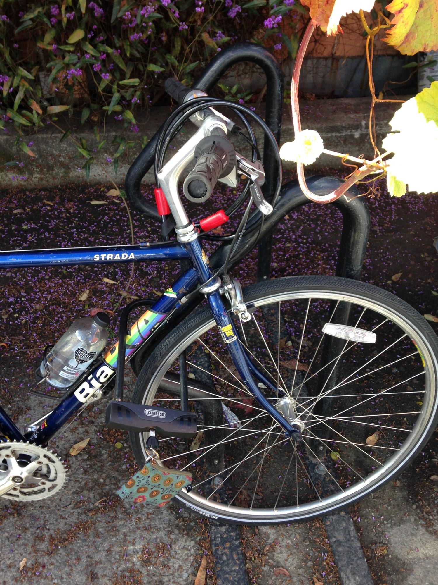 Bianchi Blue
