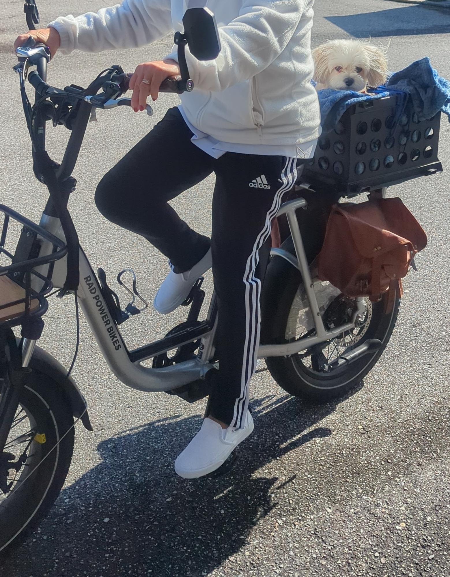 2021 Rad Power Bikes Radrunner plus Silver, gray or bare metal