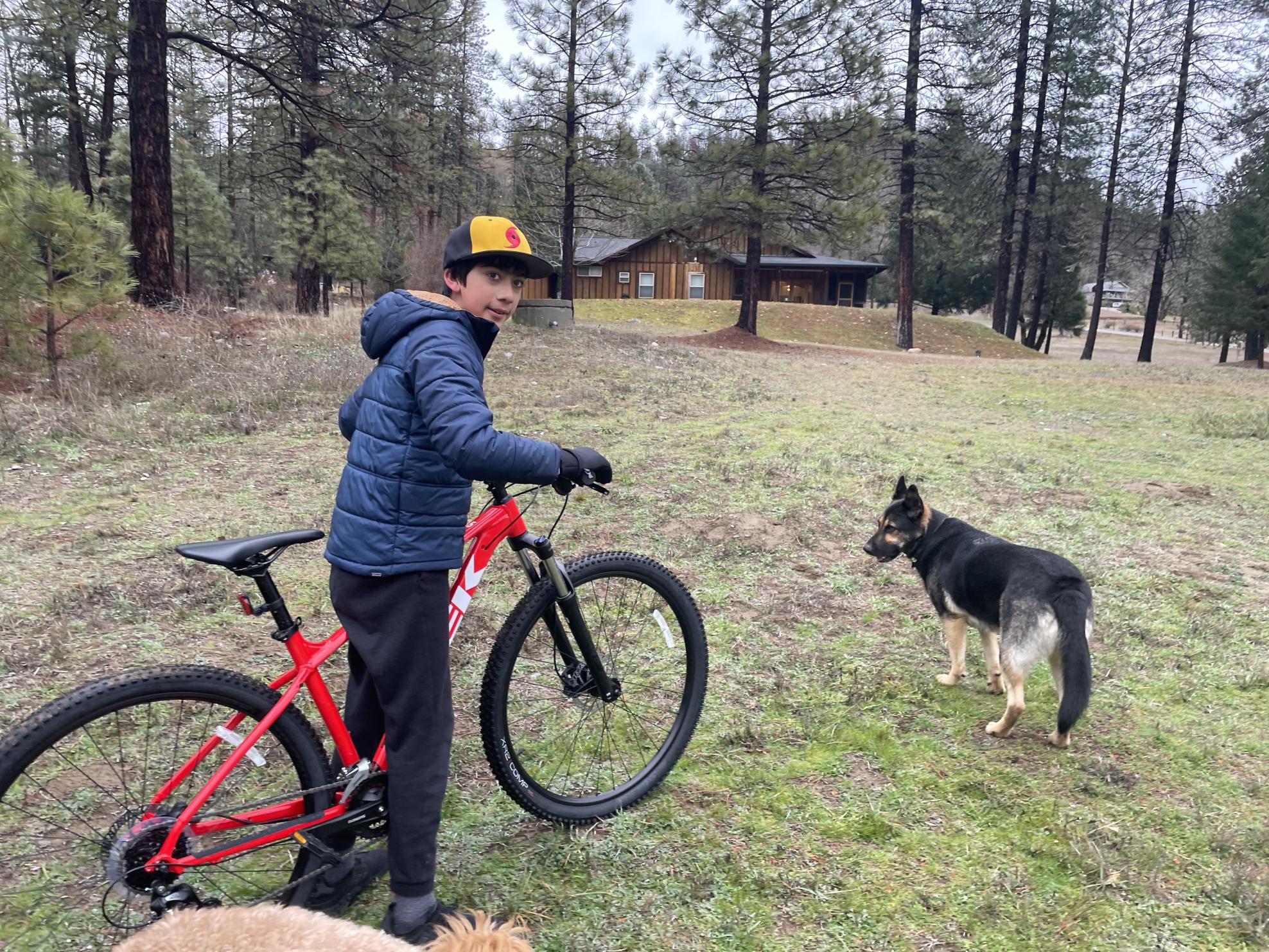 2022 Trek Marlin 5 Red