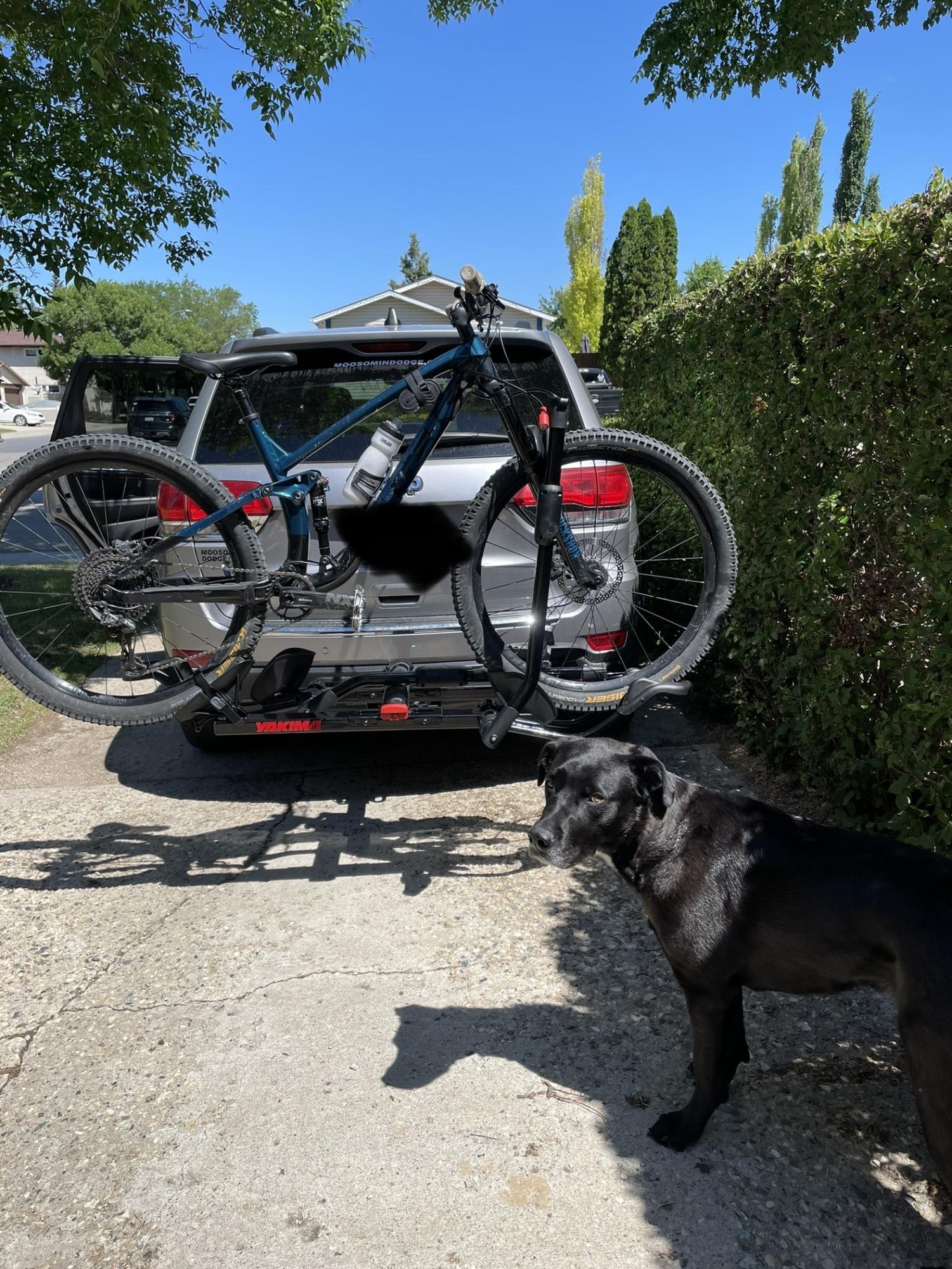 2020 Trek Fuel ex 7 Black and Blue