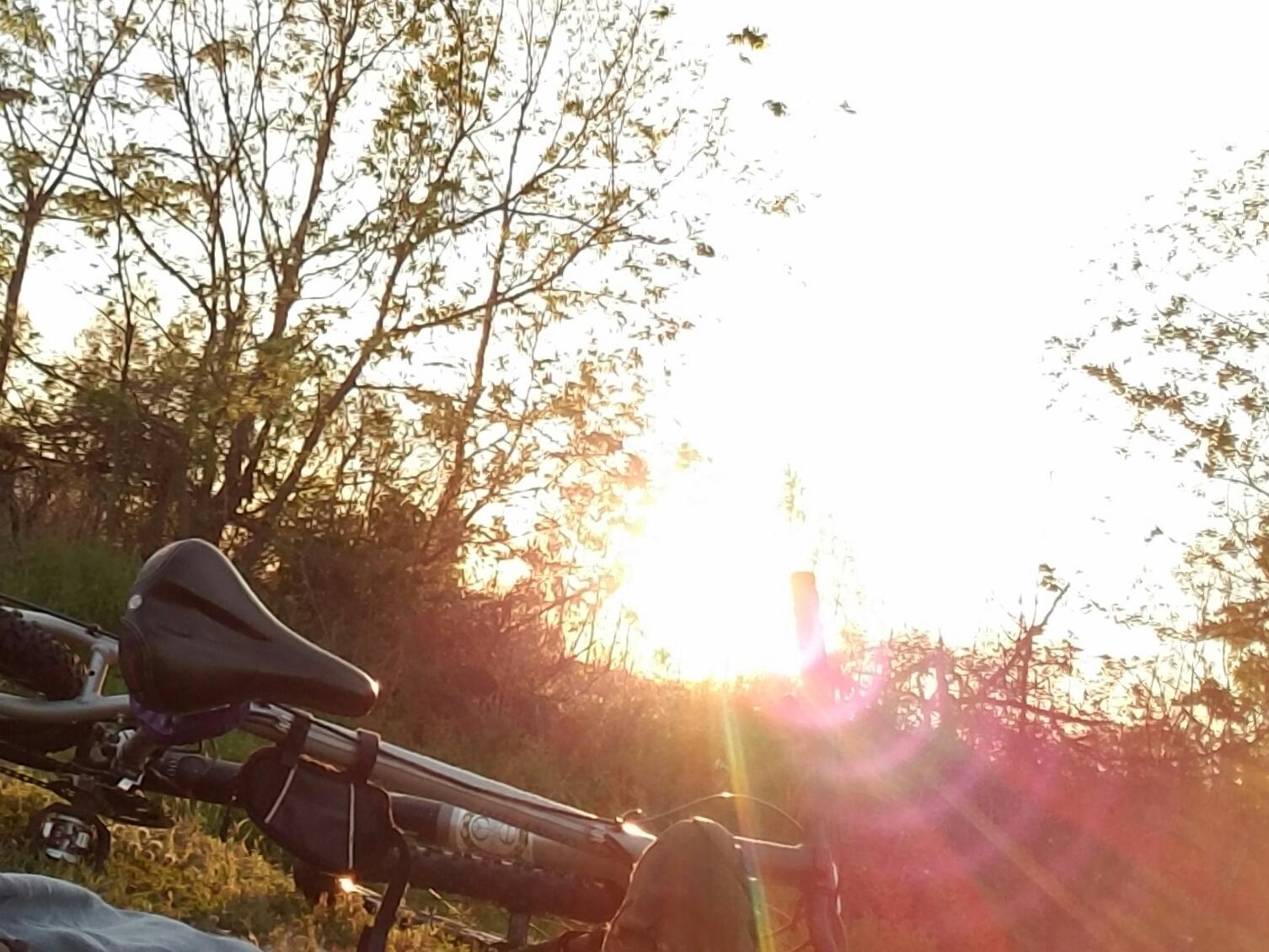 Jamis Silver or Gray