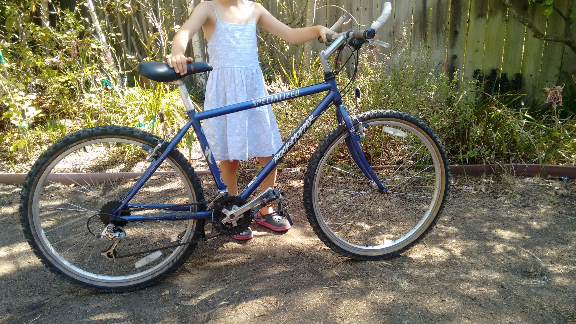 Specialized Rockhopper Blue