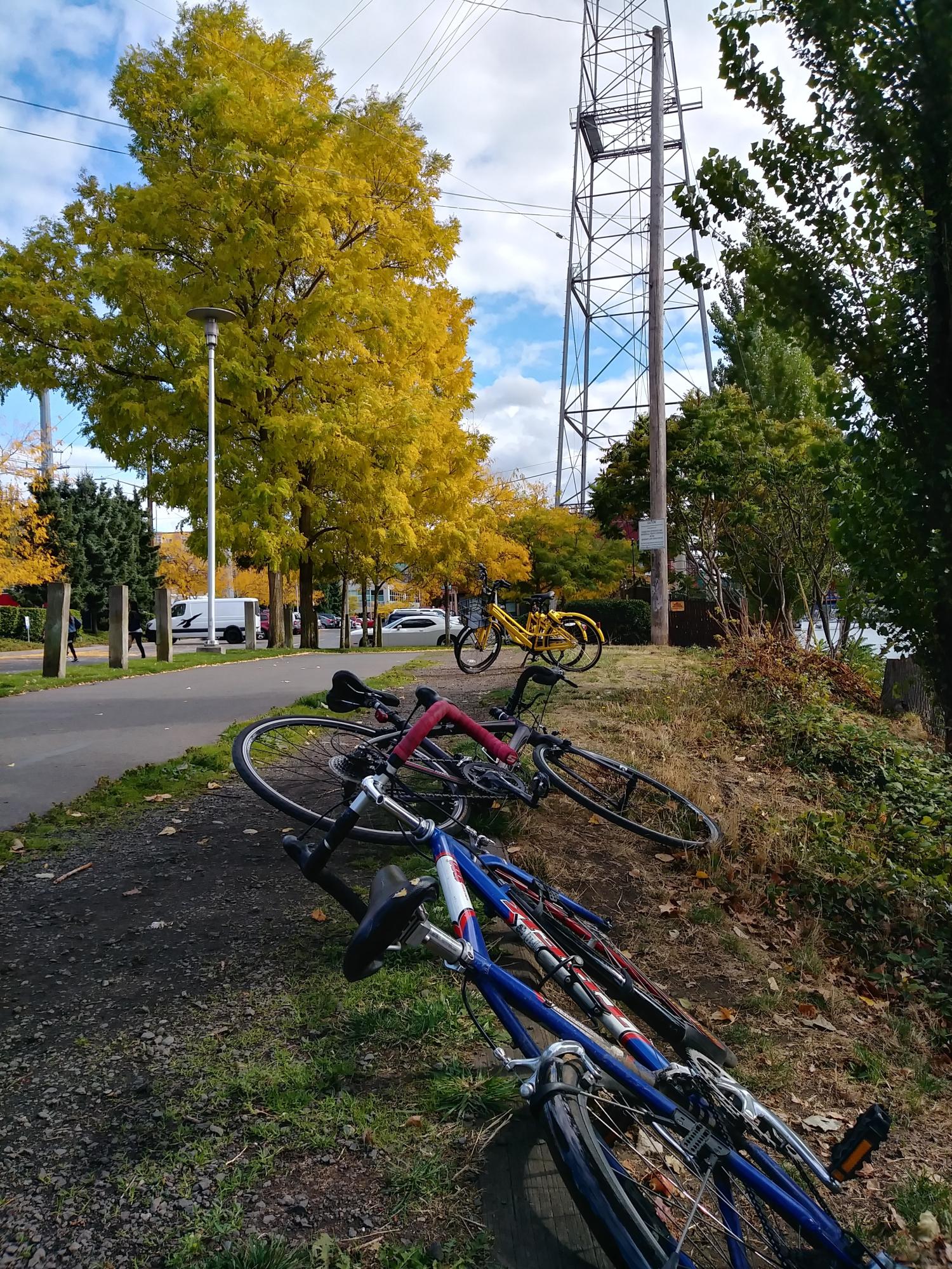 Trek 1000 Blue, Red, and White