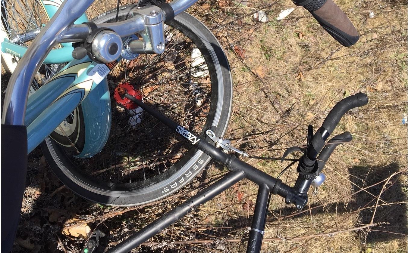 SE Bikes Lager Black