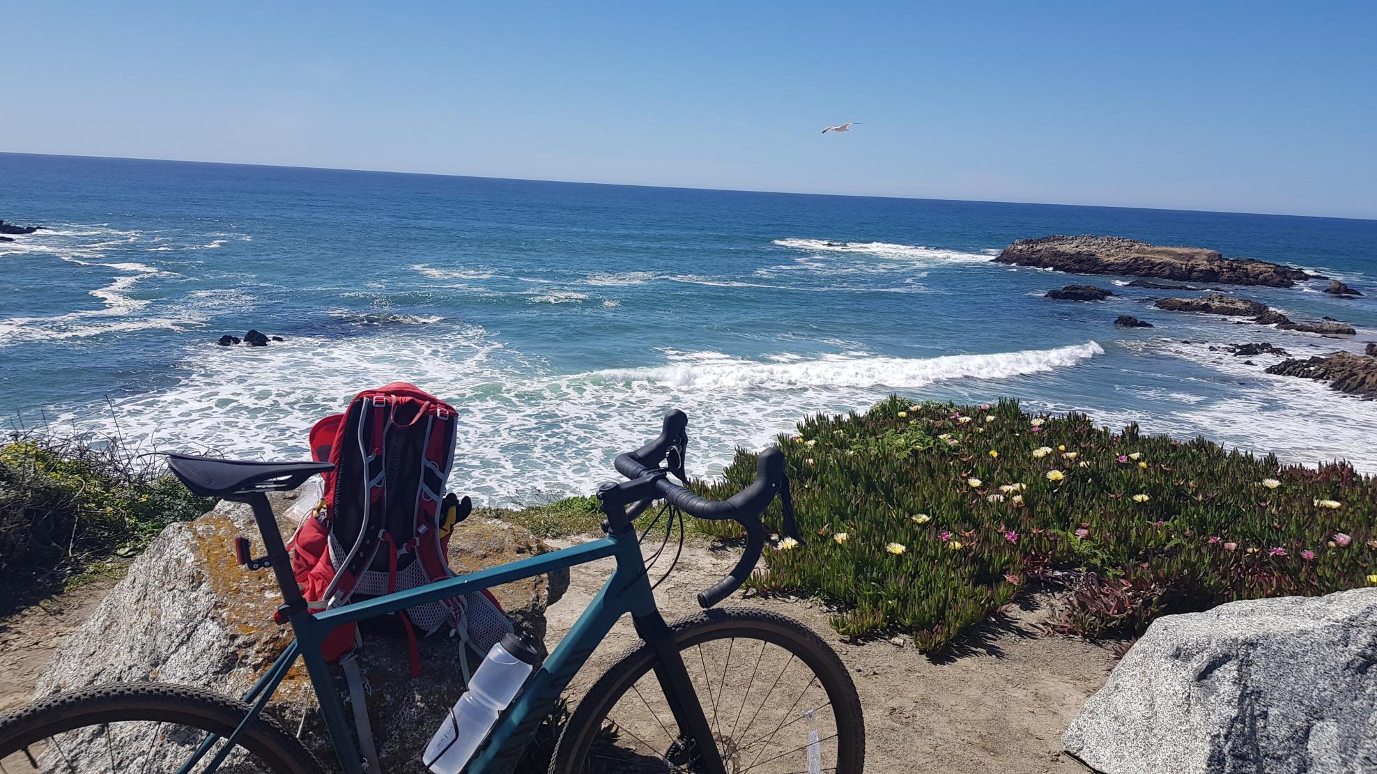 2022 Canyon bicycles GRAIL AL 6 L Green and Black