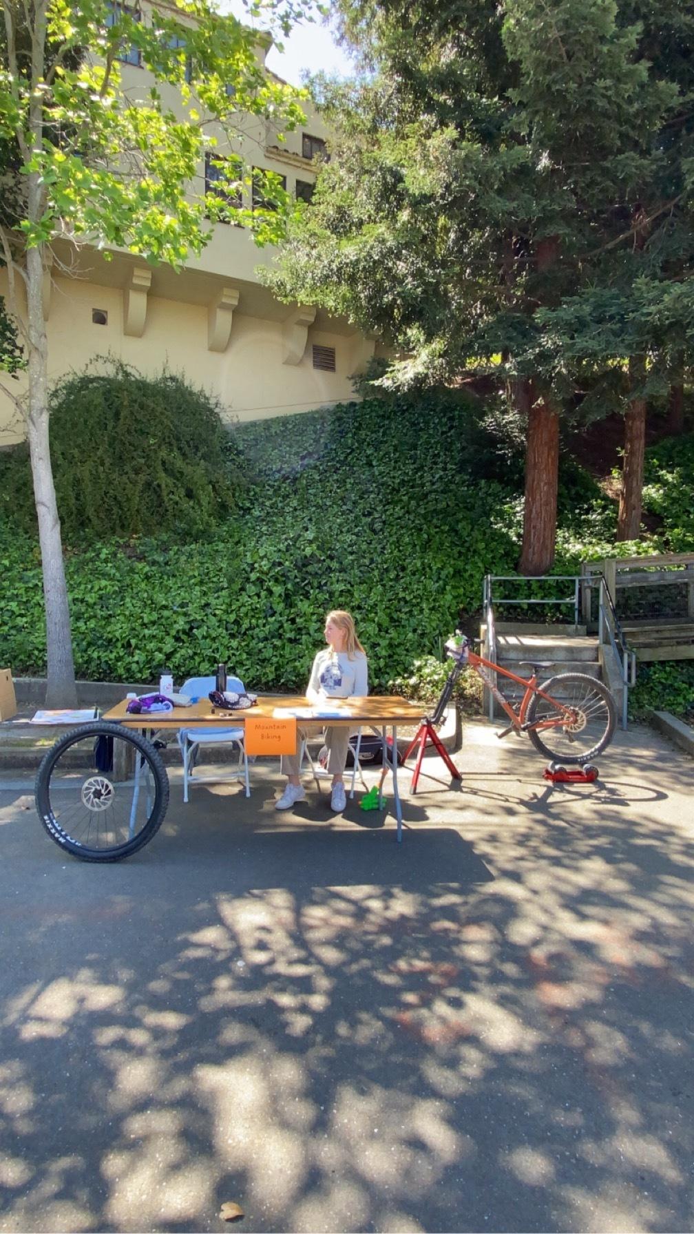 Santa Cruz chameleon Orange