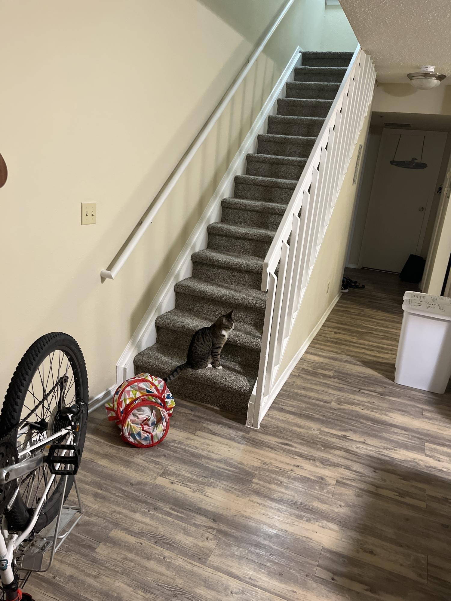 Trek 820 Stickers tape or other cover-up, White, and Teal