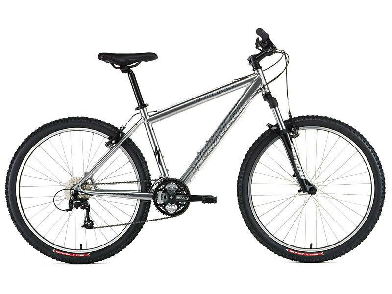 2004 Specialized Rockhopper Silver, gray or bare metal