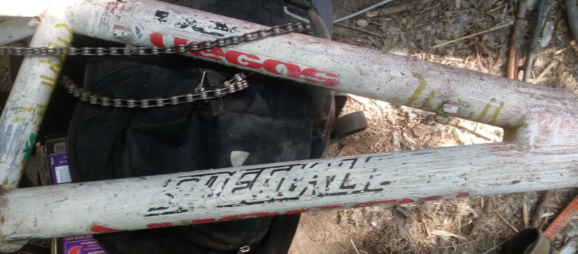 Specialized Vegas White