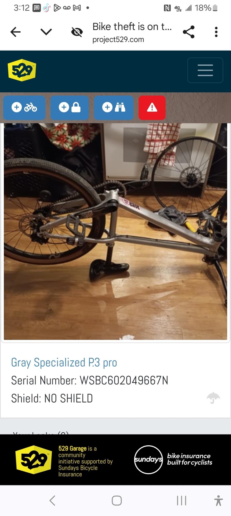 2024 Specialized P.3 pro Silver, gray or bare metal