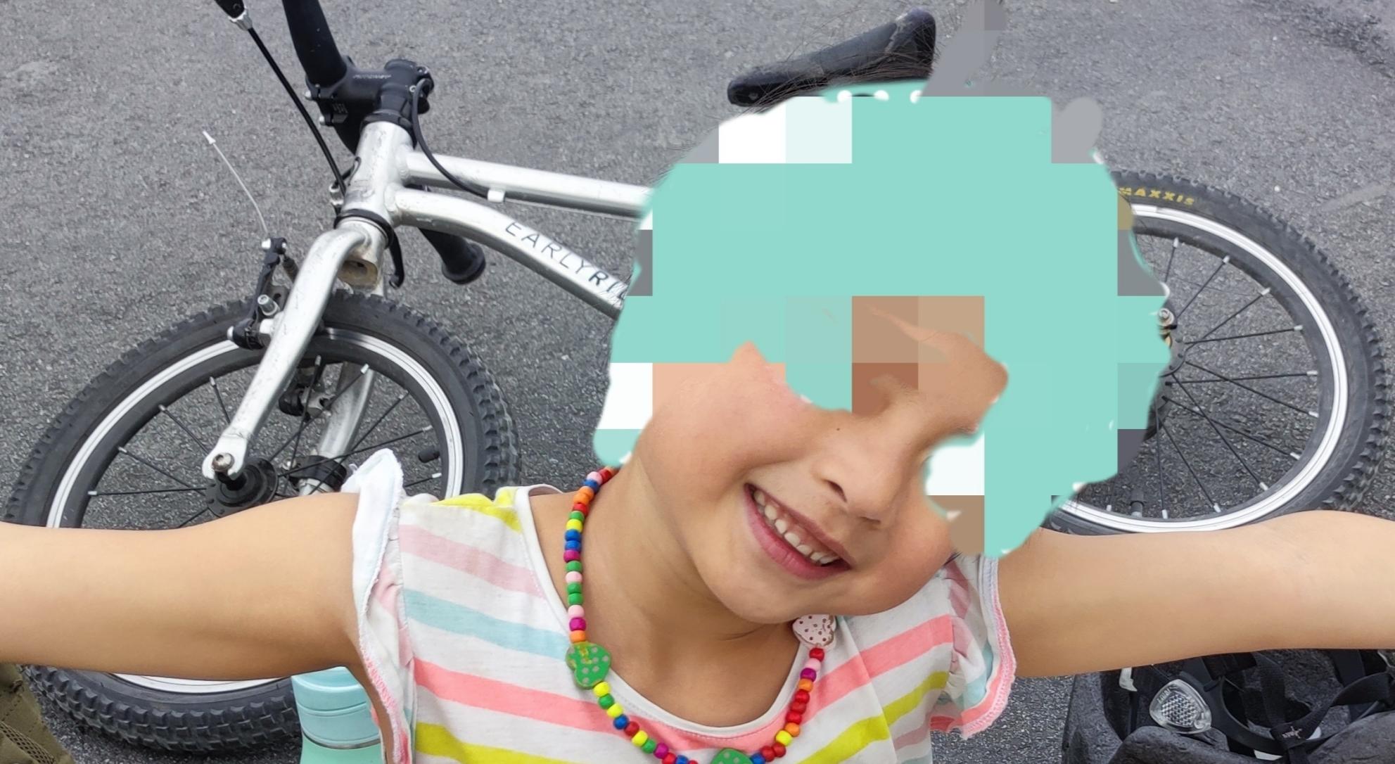 EARLY RIDER Belter 16 Silver, gray or bare metal