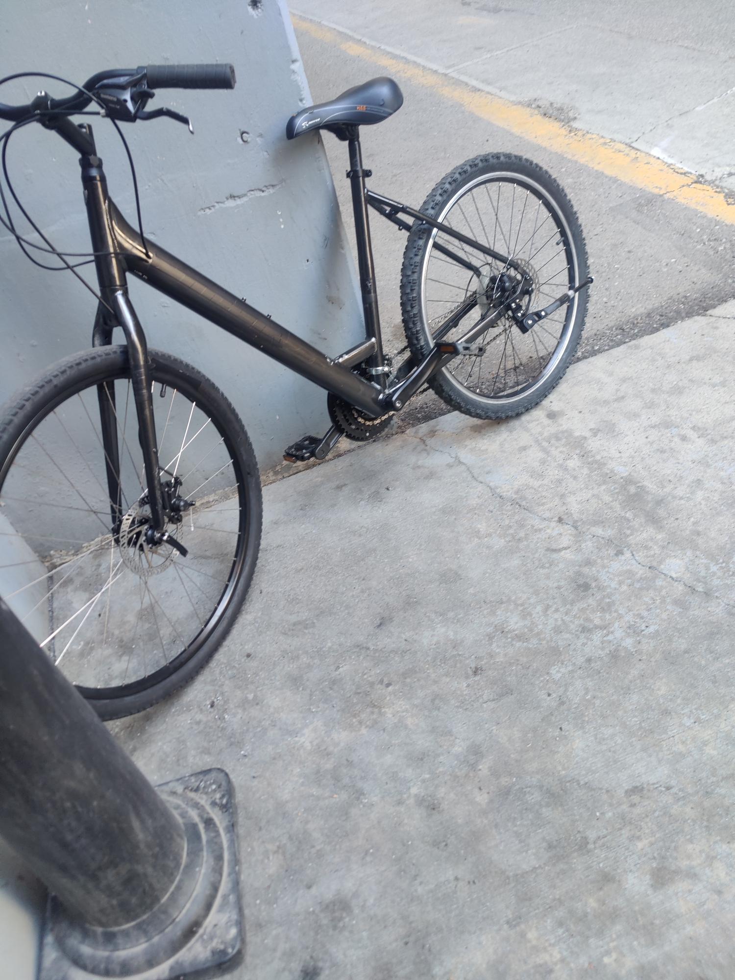 Trek Black, Silver, gray or bare metal, and Black