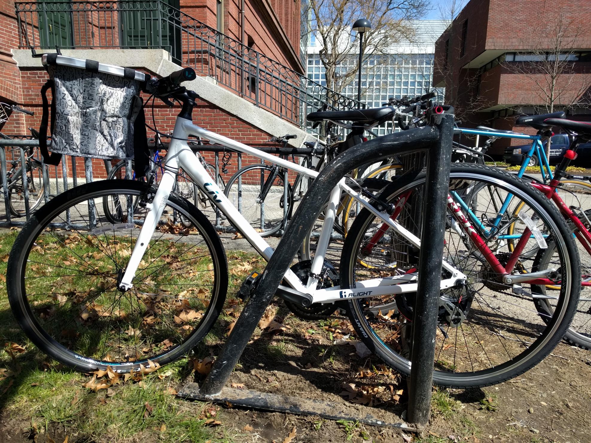 2016 Giant Alight White