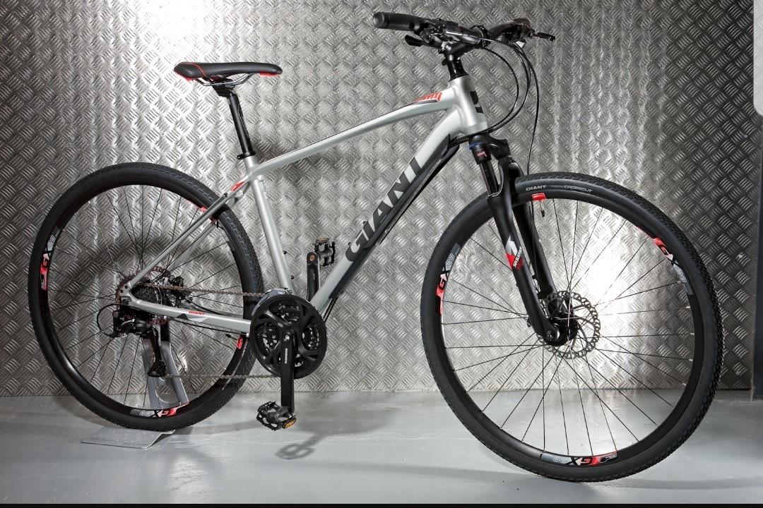 2017 Giant 70053315 Silver or Gray