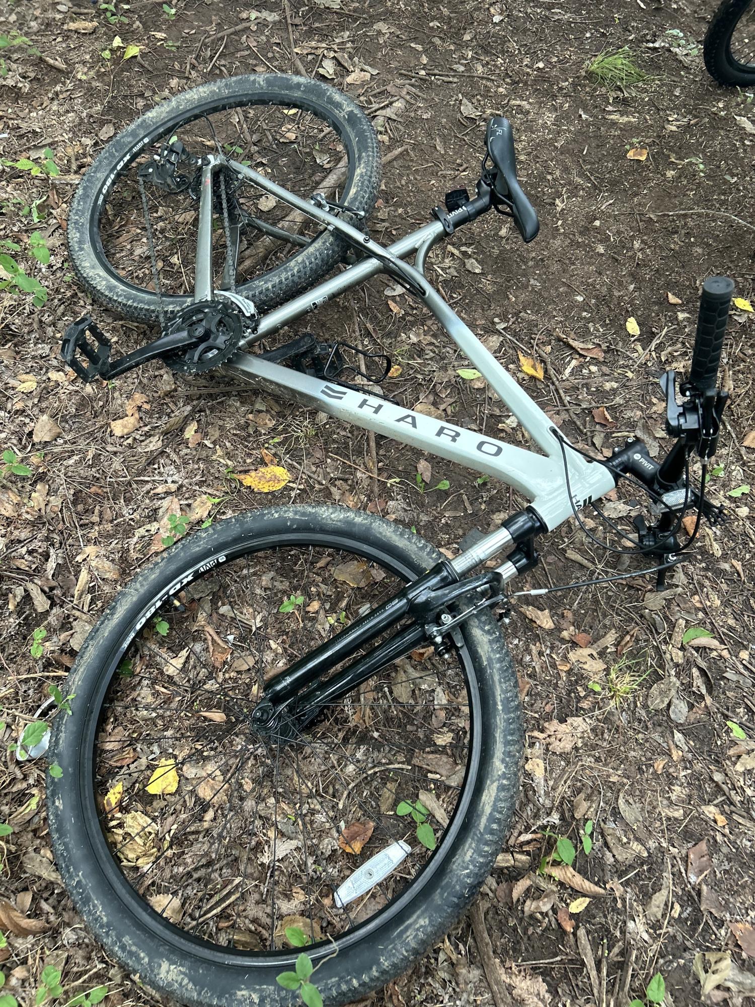 2021 Haro Flight line White and Silver, gray or bare metal