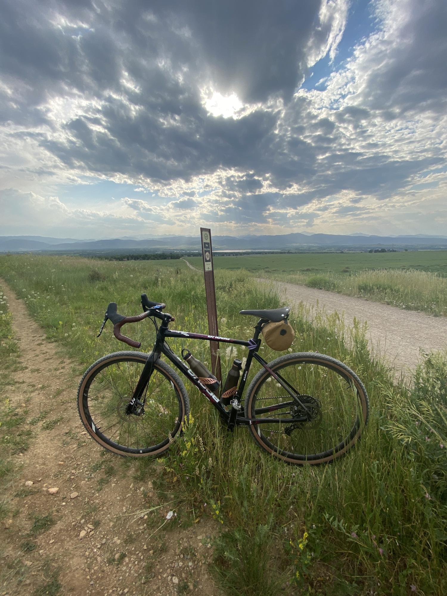 2018 Liv Brava SLR Black