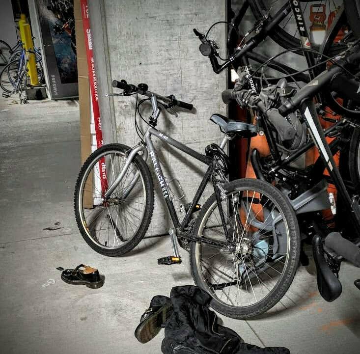 Raleigh M-40 Silver, gray or bare metal