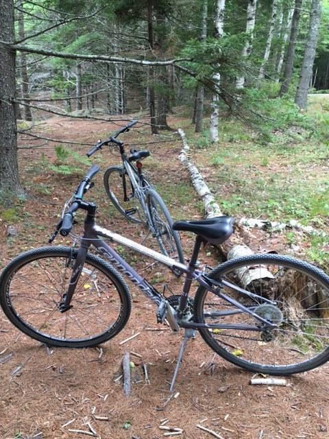 2015 Cannondale Quick 4 Purple