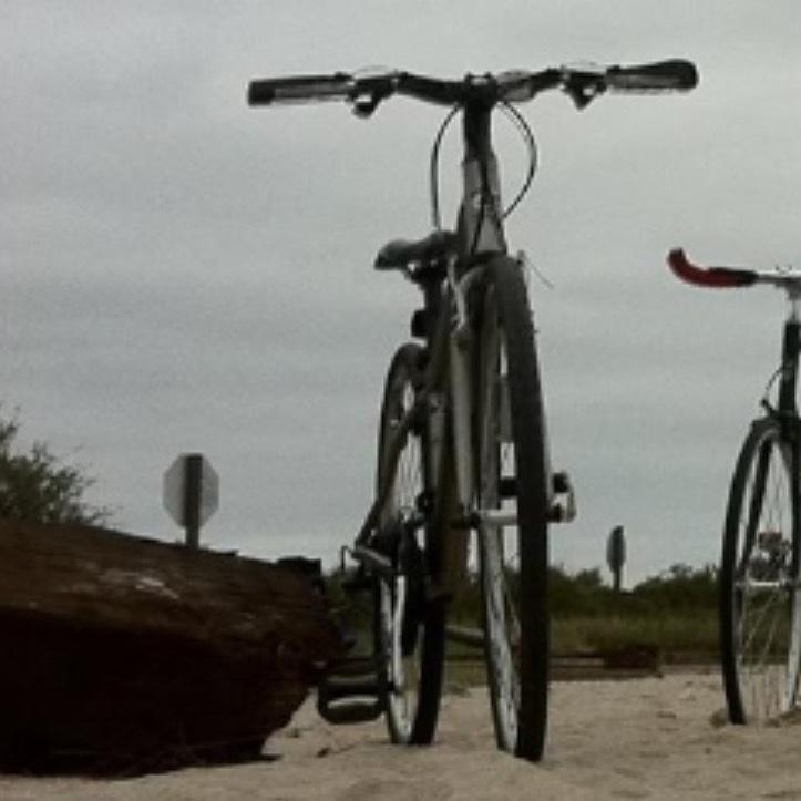 2009 Cannondale Quick 5 Feminine Silver or Gray