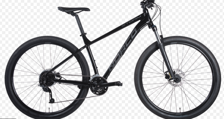 2020 Norco Bikes Storm 2 Silver, gray or bare metal