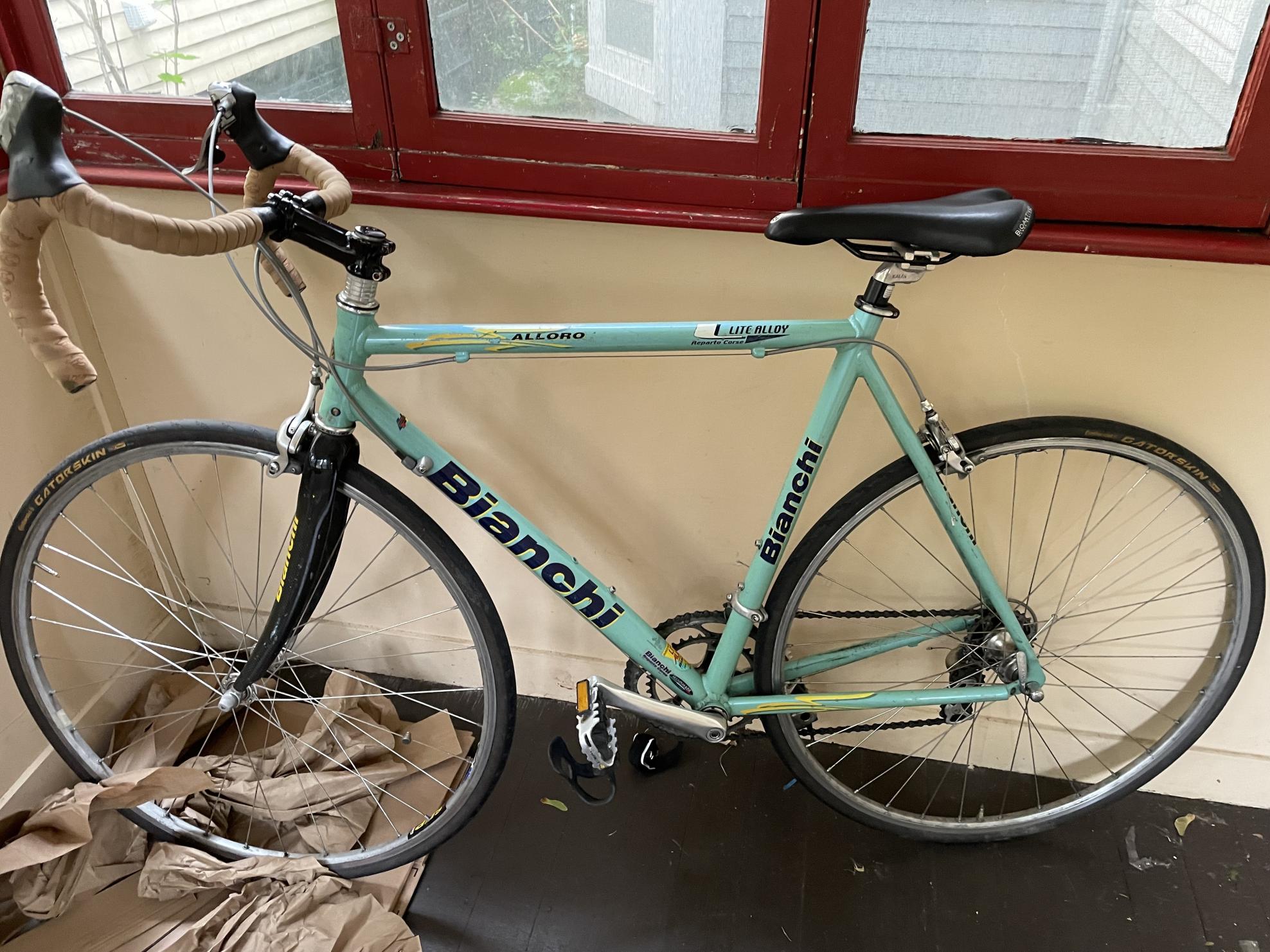 1989 Bianchi Blue