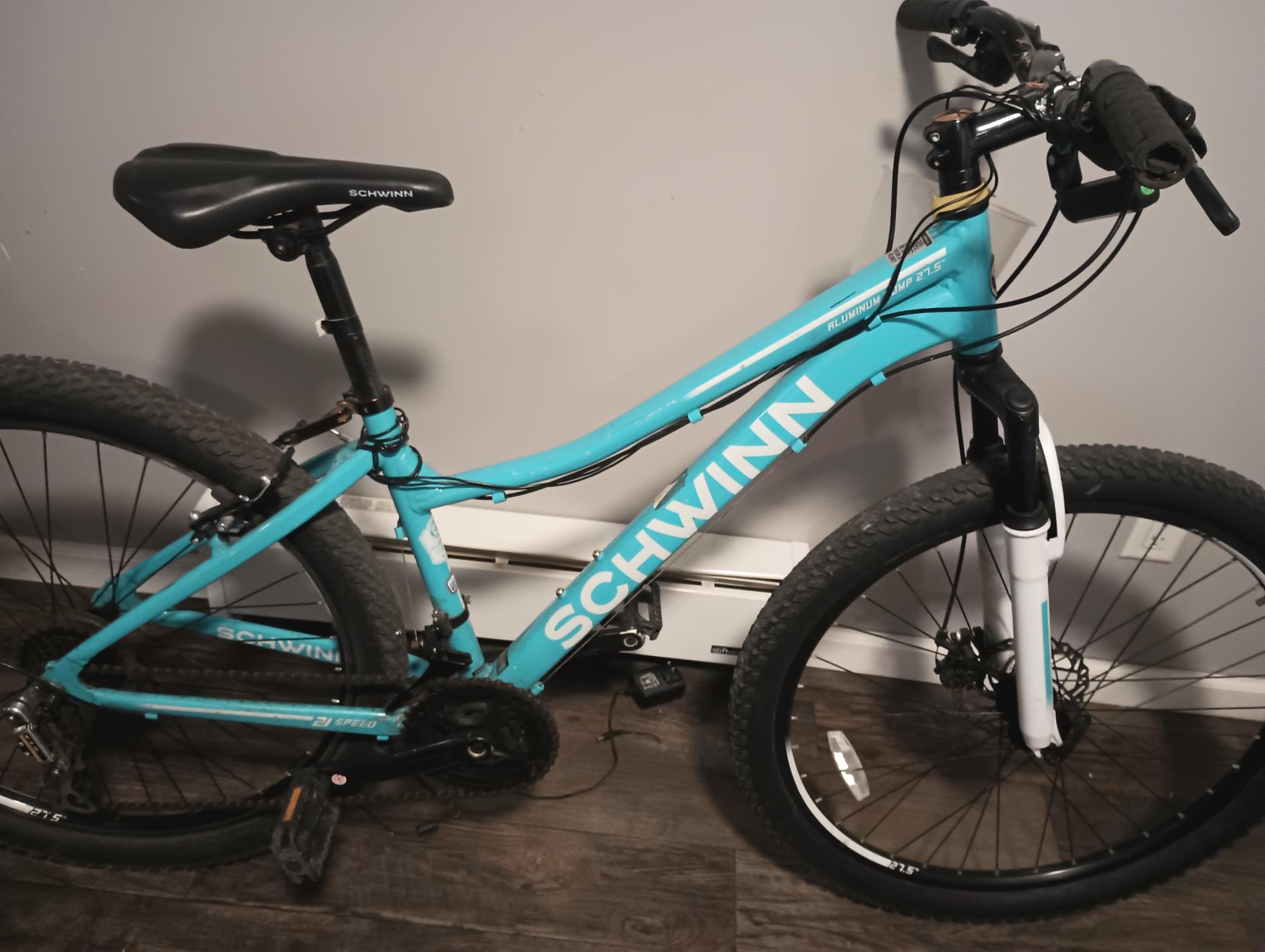 2022 Schwinn S2607WMJ Blue and Black
