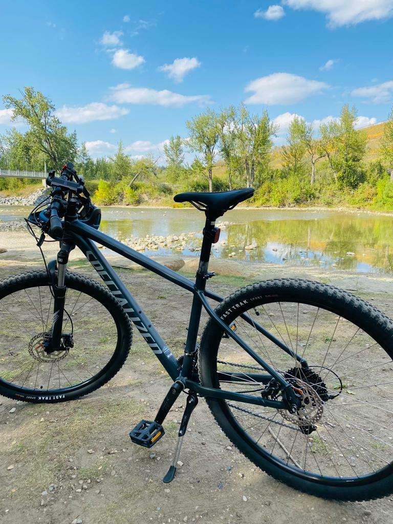 2023 Specialized ROCKHOPPER SPORT 29 SLATE/COOL Silver, gray or bare metal