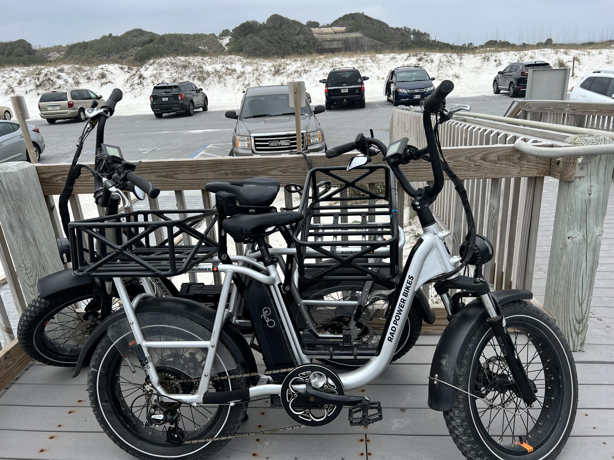 2022 RAD Rad Runner Plus Silver, gray or bare metal