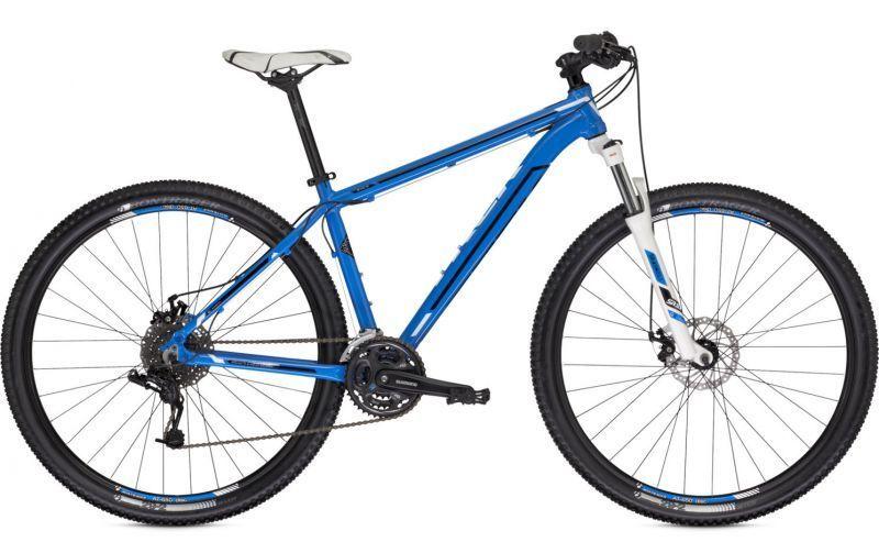 2013 Trek Blue and White
