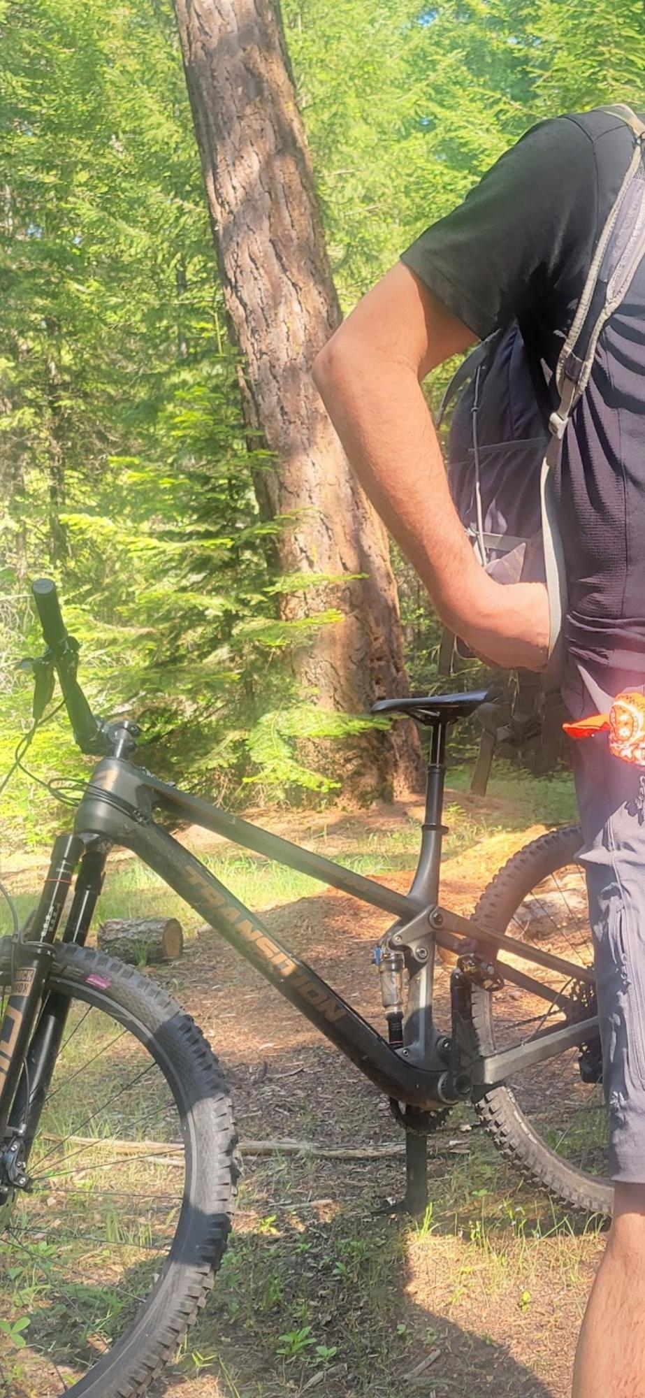 2021 Transition Bikes spur Silver, gray or bare metal