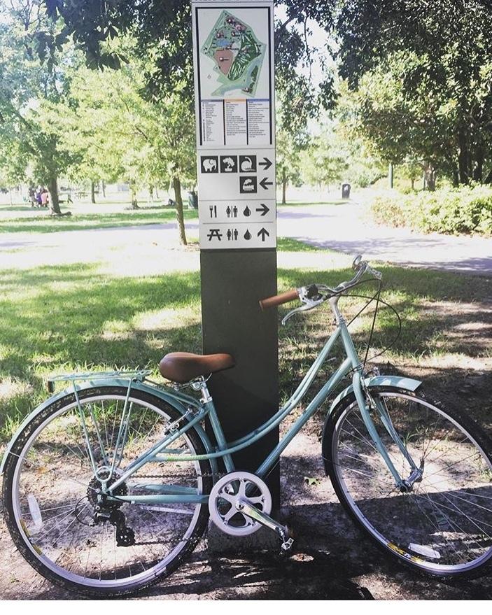 2015 Manhattan KHS GREEN 8EL Green