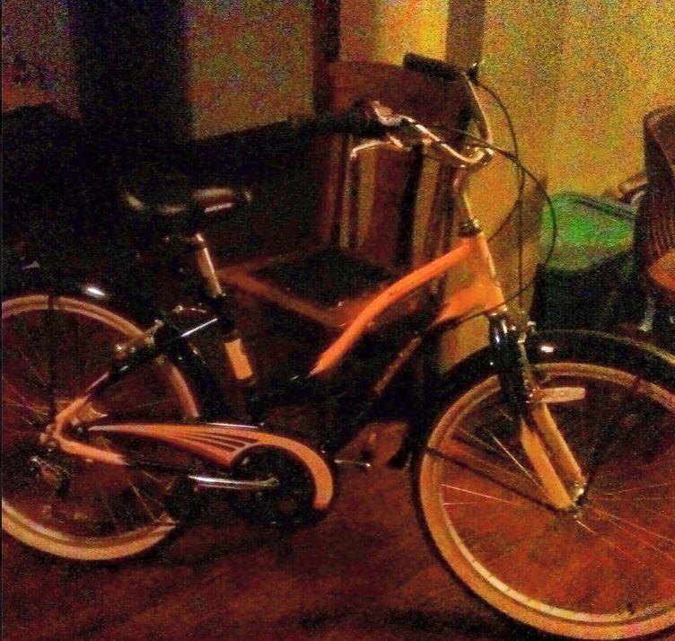 2013 Raleigh Cruiser Blue and White