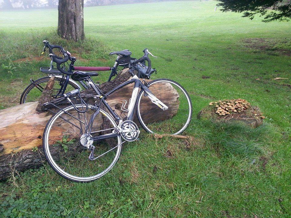 Specialized Secteur Comp Compact Black and White