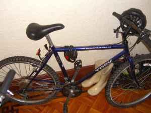 Trek Mountain Bike  Purple