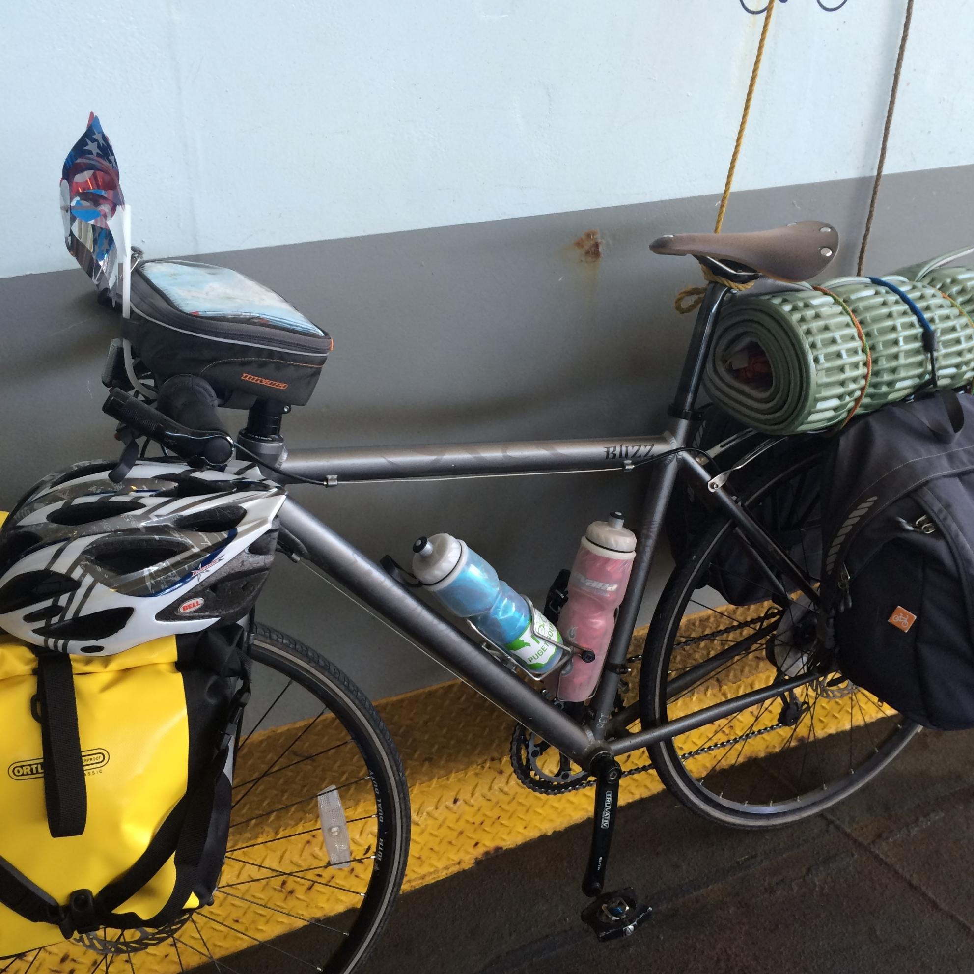 Novara Big Buzz Silver or Gray