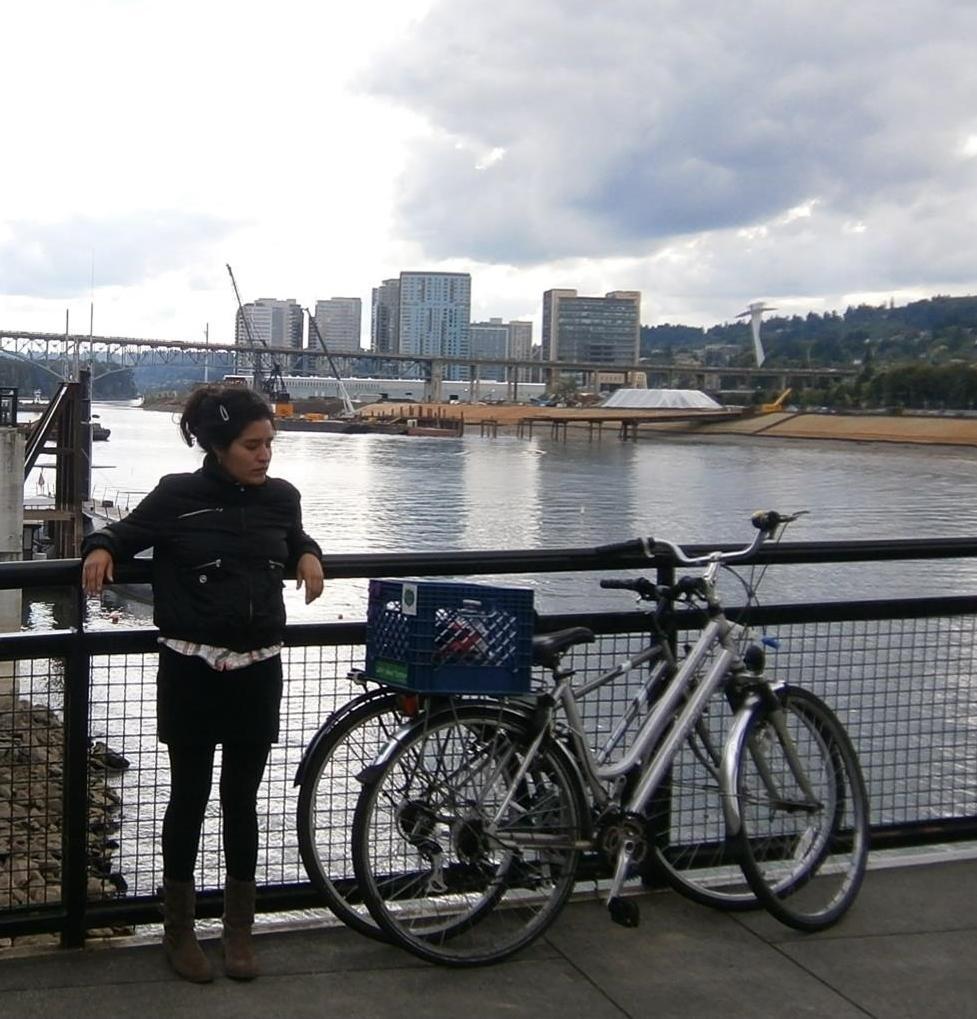 Unknown Silver or Gray