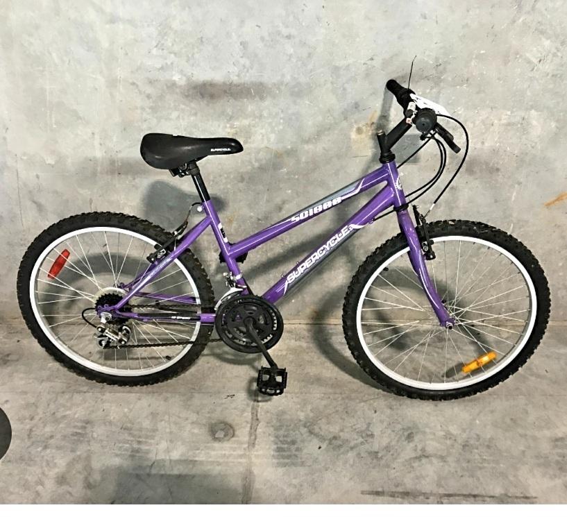 2022 Supercycle Sc1800 Purple