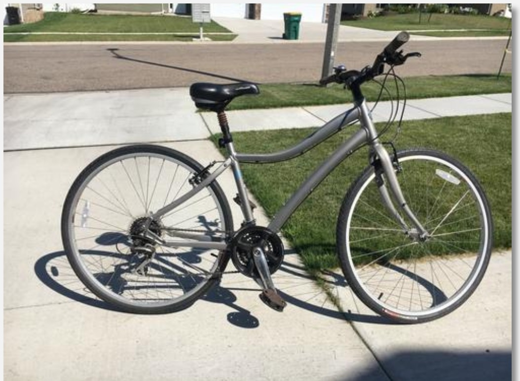 2017 Specialized Women's Globe Vienna 2 Silver or Gray