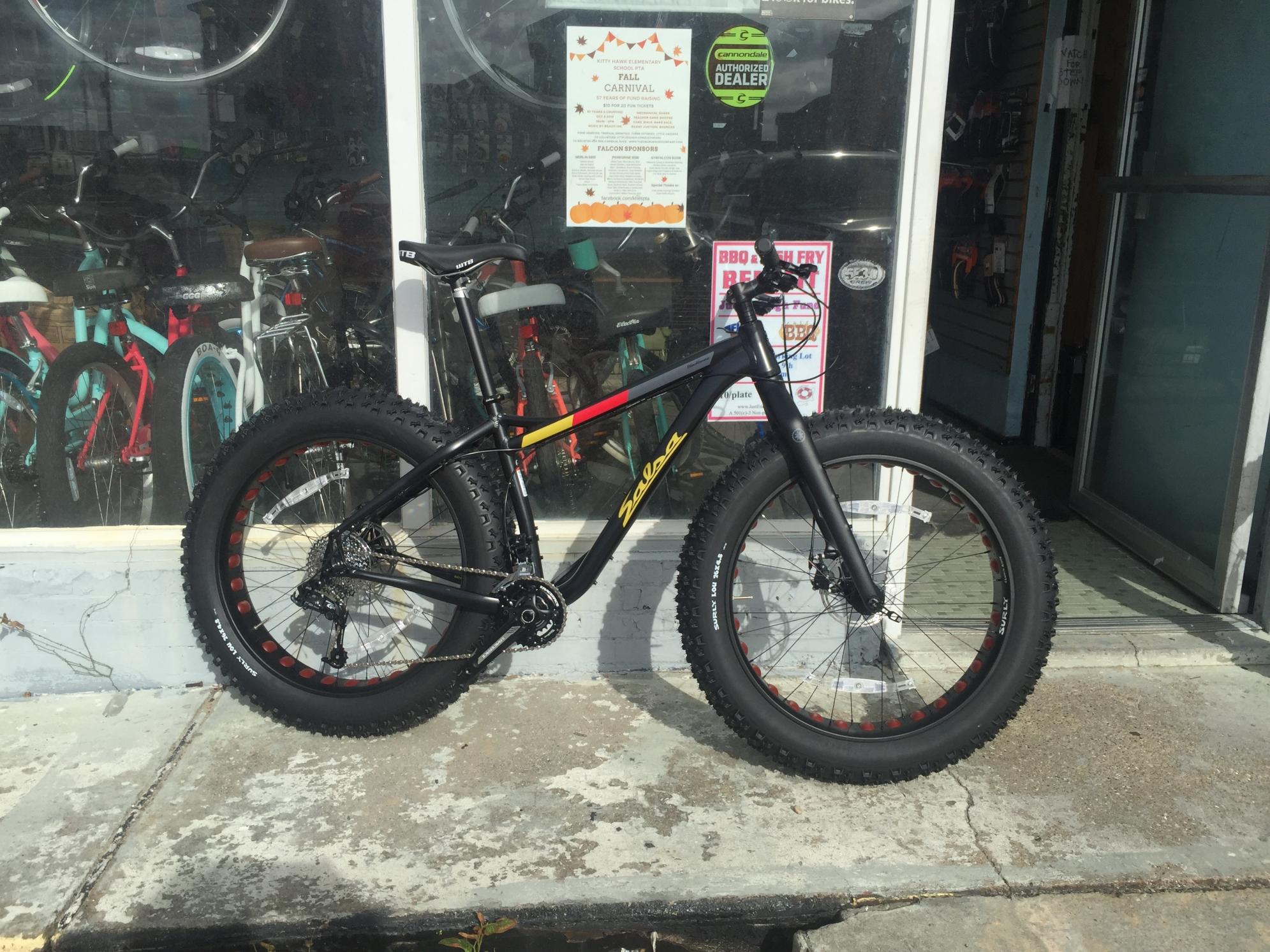 2016 Salsa Blackborow 20