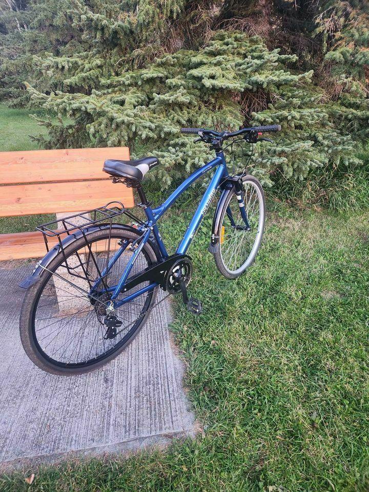 2023 Made in China Hybrid bike (Alloy frame) Blue