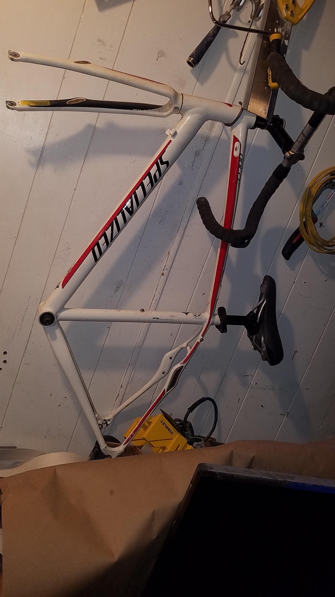 Specialized Dolce Comp White, Red, and Black