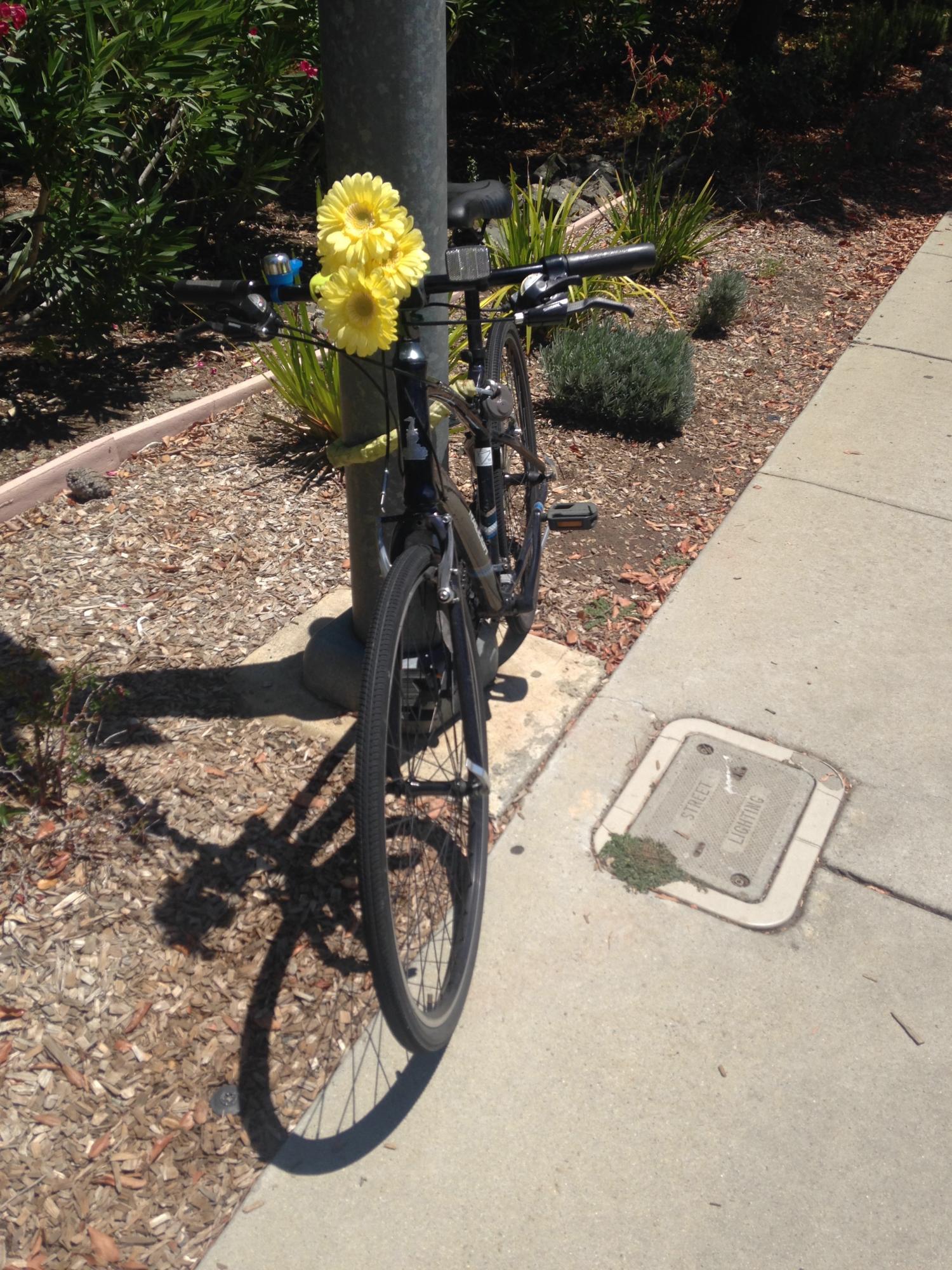 2014 Raleigh Detour 4.5 Black