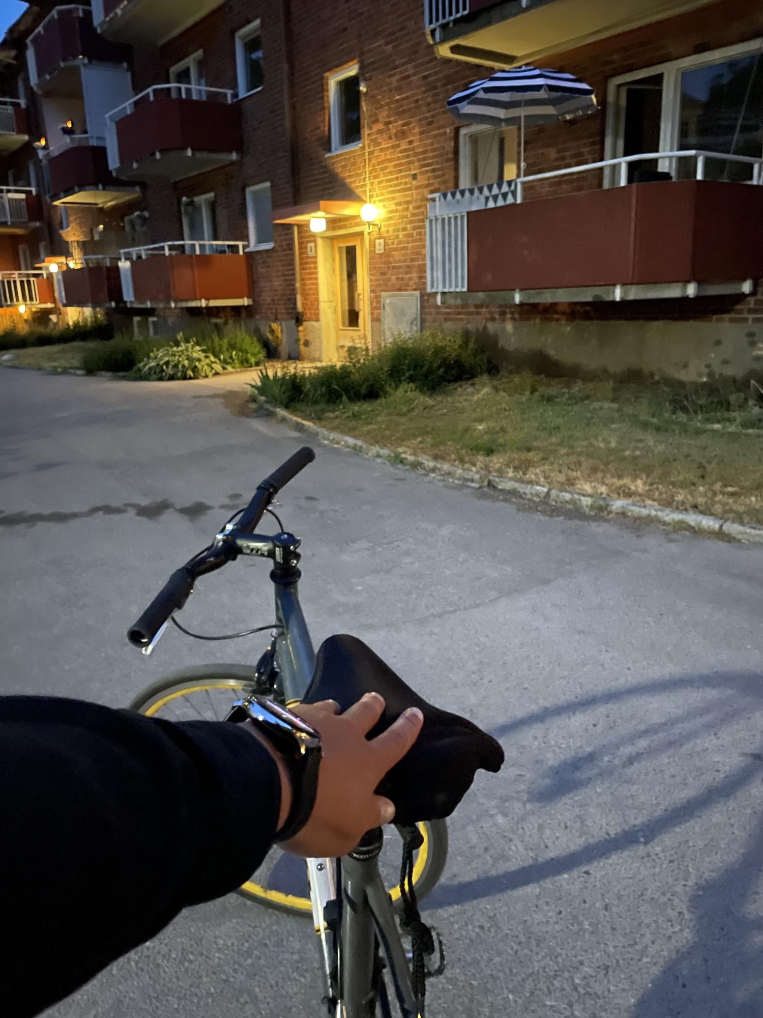 2009 Kona Silver, gray or bare metal