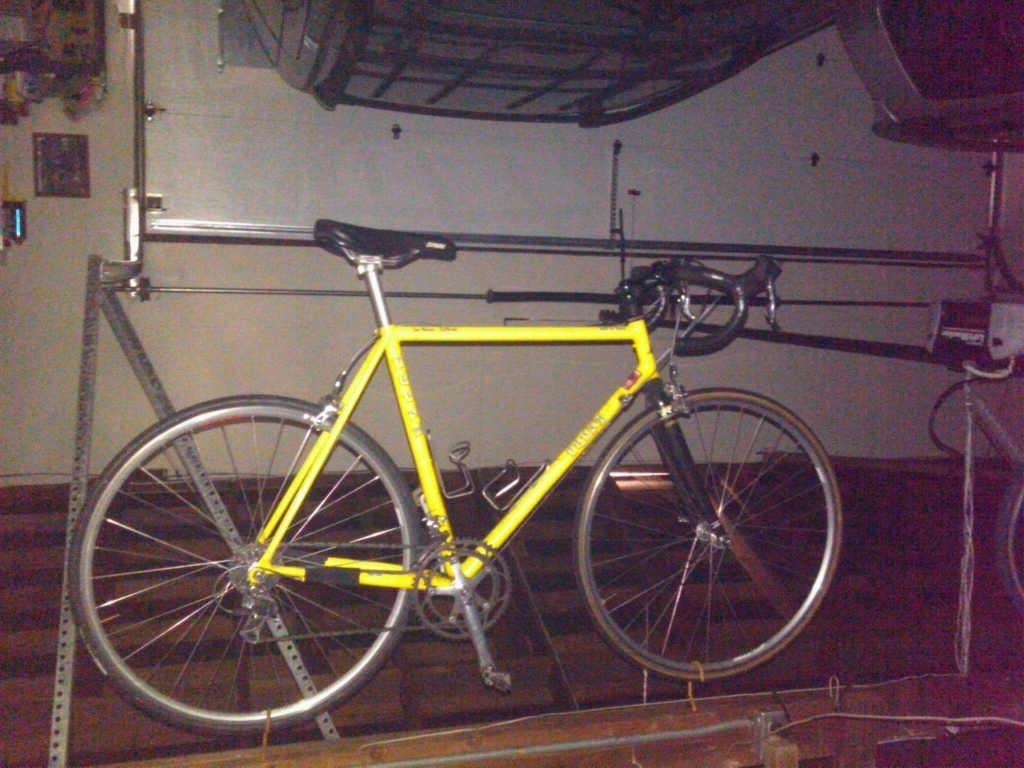 Specialized unknown  Black