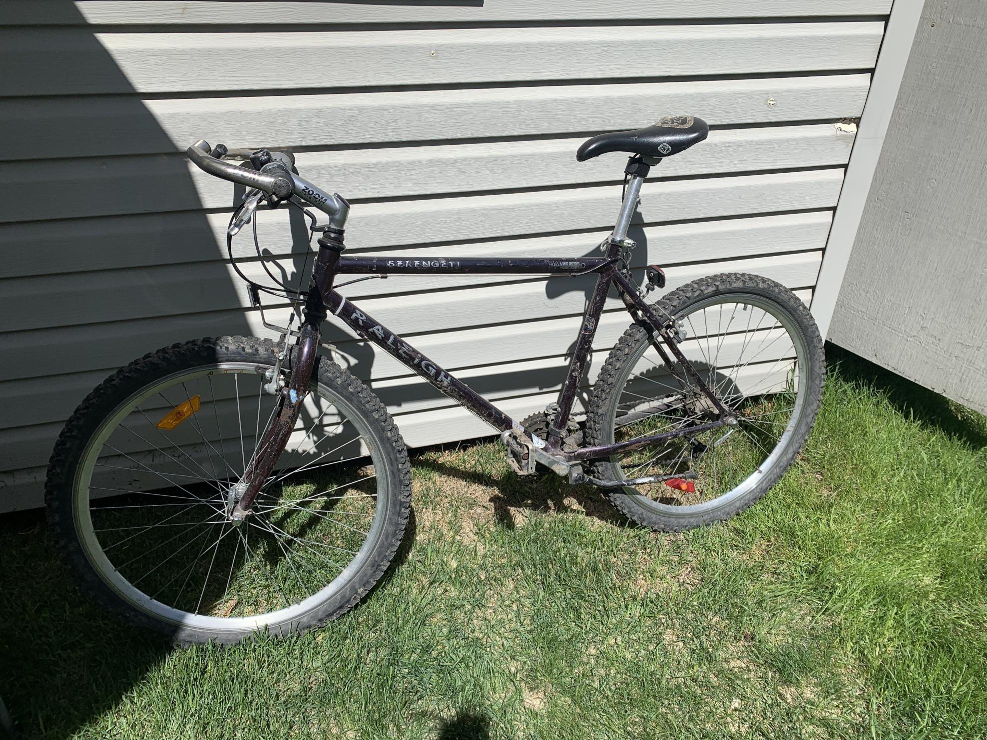 Raleigh Serengeti Purple