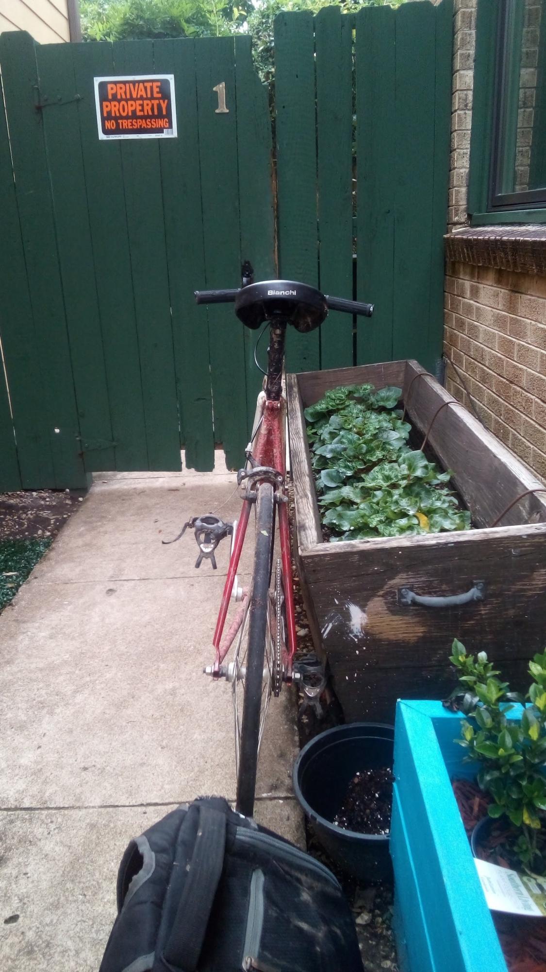 Leader Bikes Red and White