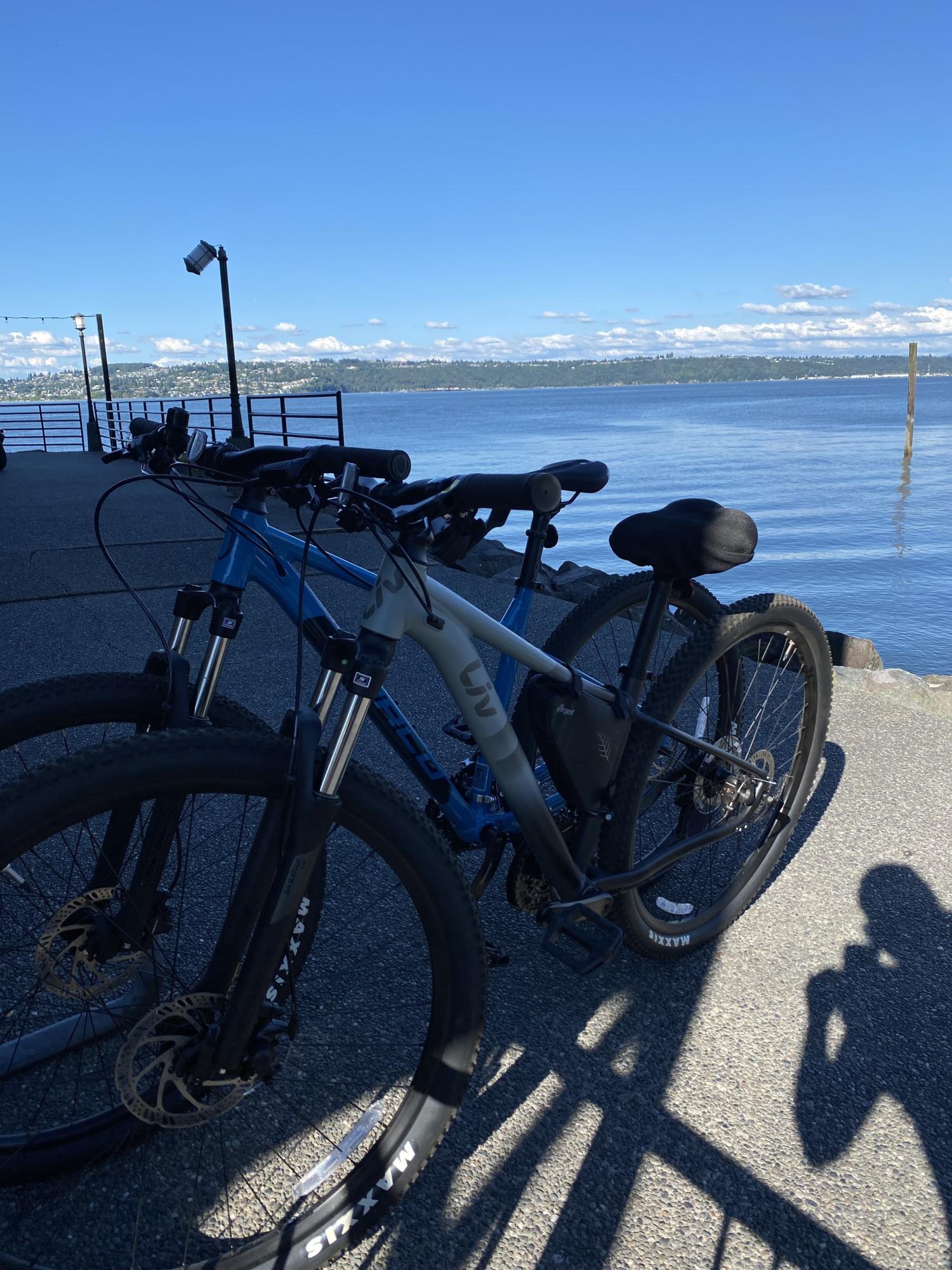 Liv Tempt 29 Small Green and Blue