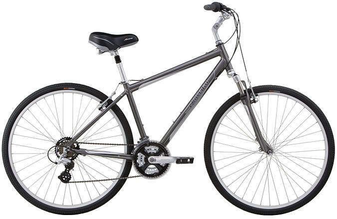 2010 Raleigh Passage 3.0  Black