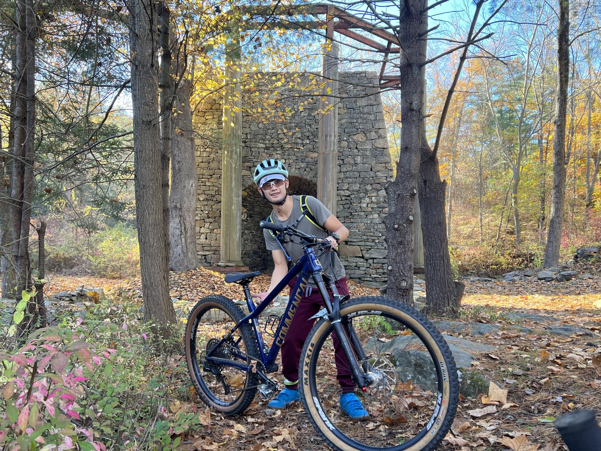 2020 Commencal Bikes Meta Black and Yellow or Gold