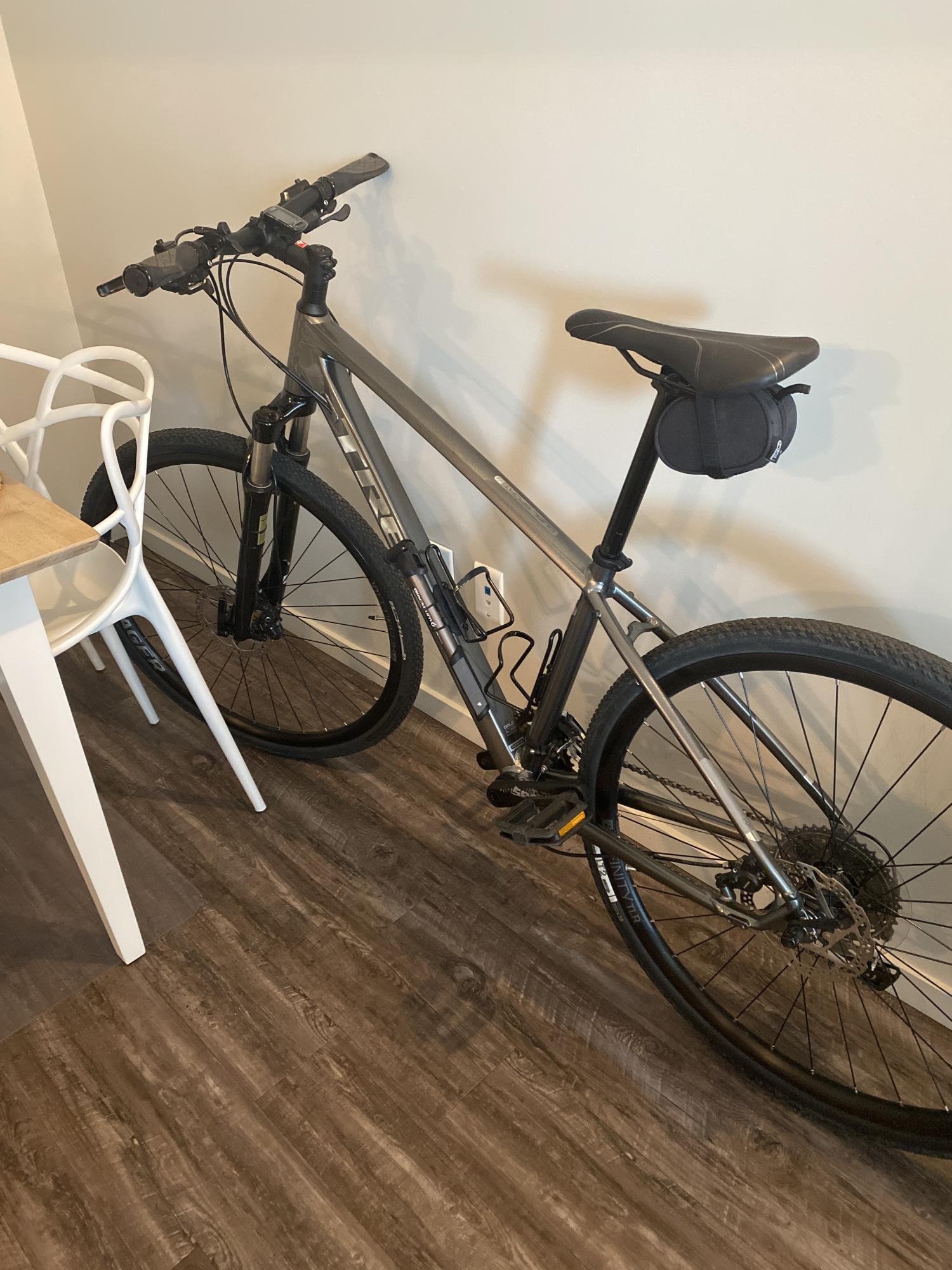 2019 Trek Dual Sport 4 Silver, gray or bare metal